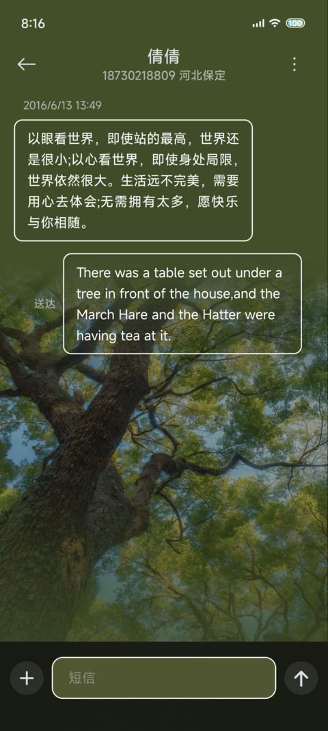 光栅 仰望四季 screenshot