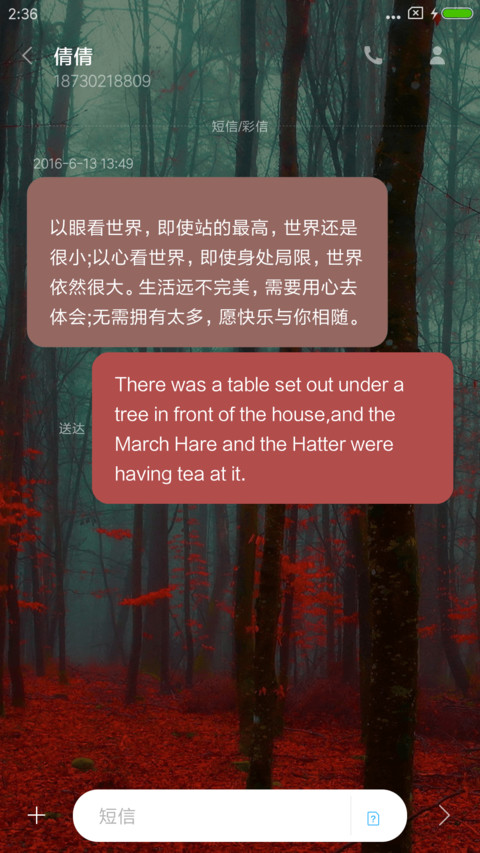 迷雾森林 screenshot