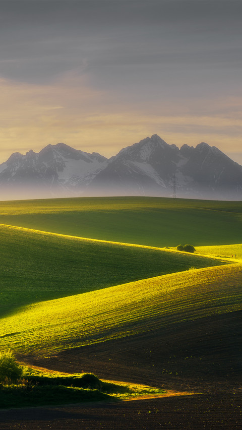 Sunset in the farmland screenshot