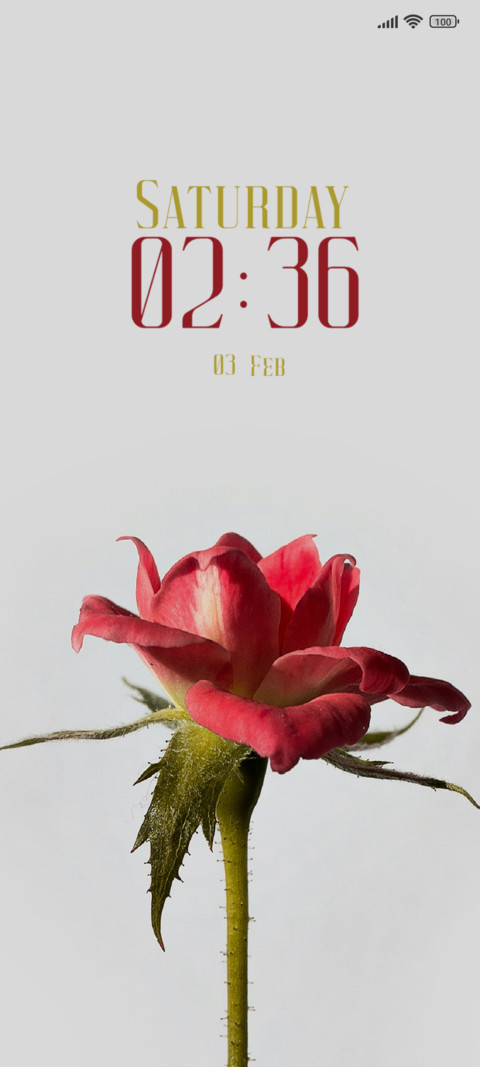 Rose Bloom screenshot