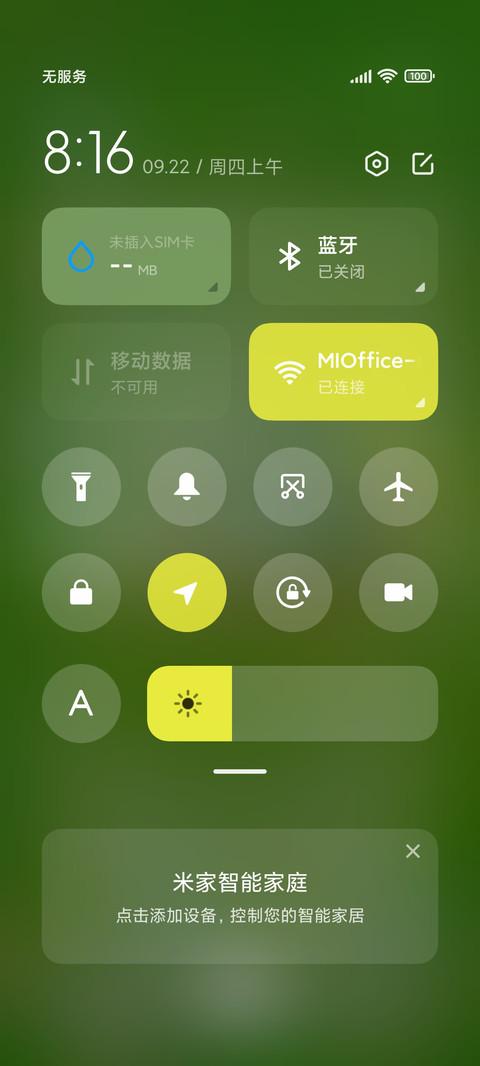 小雏菊丛中的小猫咪 screenshot