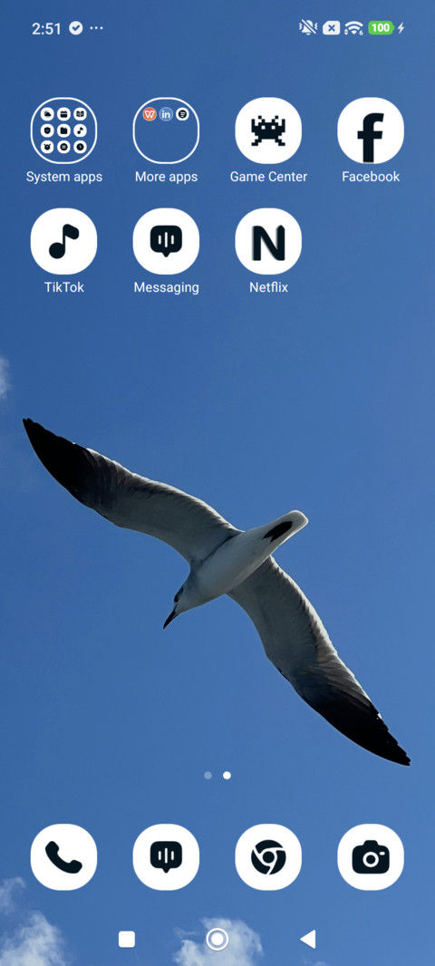 Sky Seagull screenshot