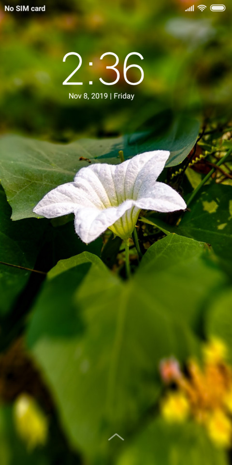 White Flower_DWM3 screenshot