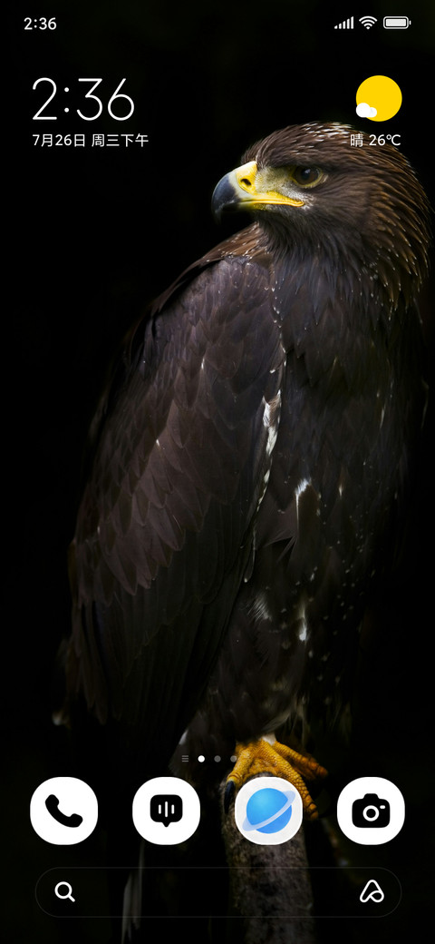 Black Hawk screenshot