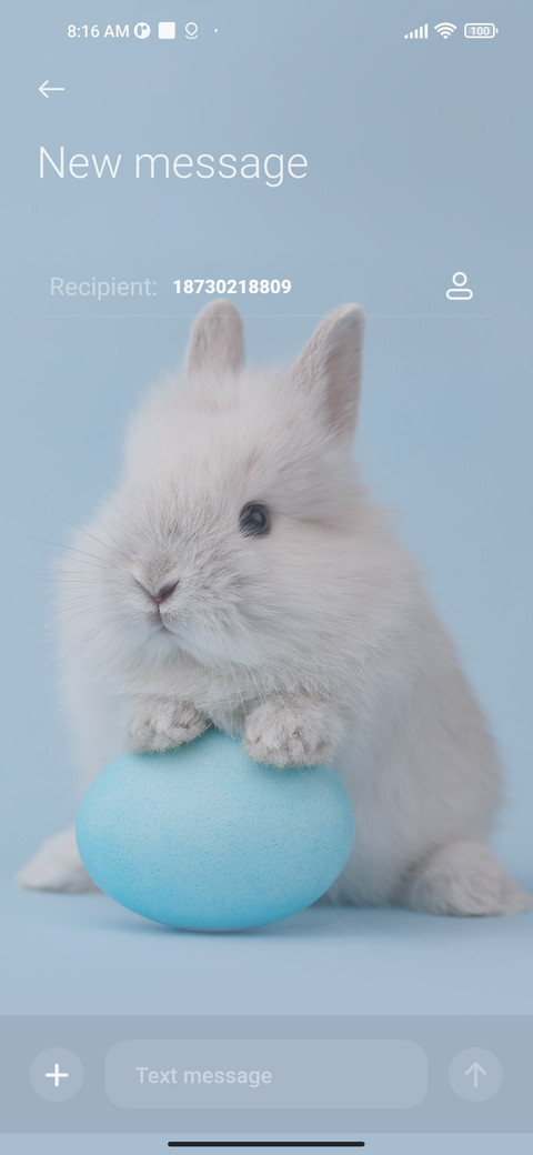 Cute rabbit screenshot