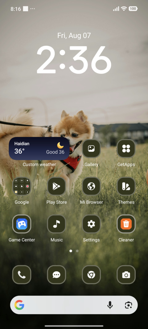 Puppy screenshot