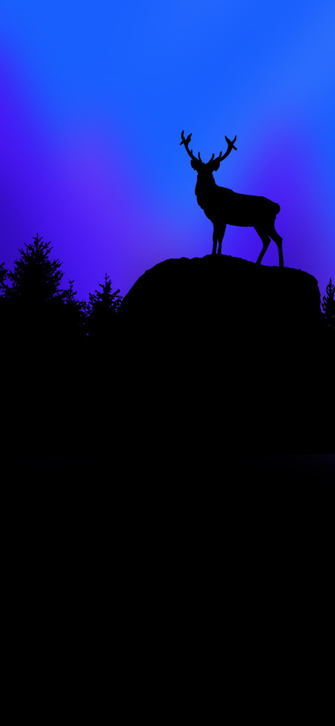 空山鹿影 screenshot