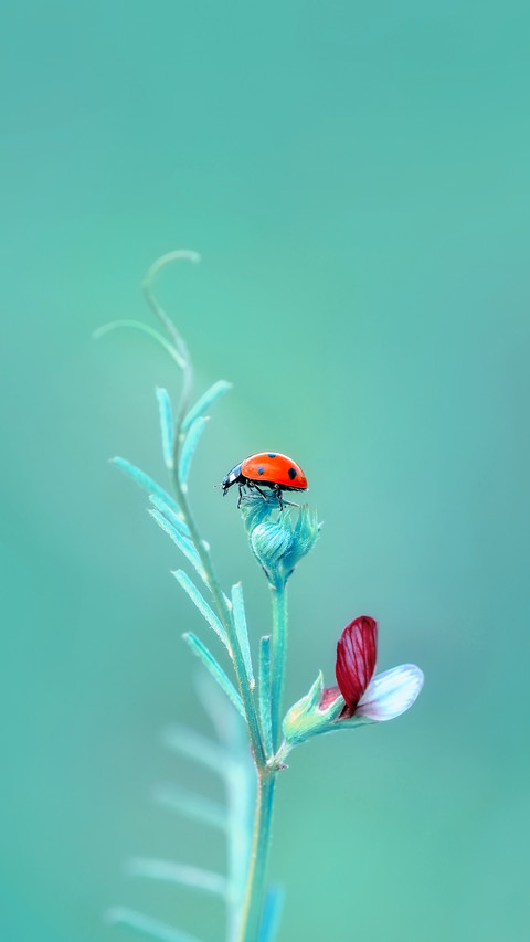 Spring scenery-11 screenshot