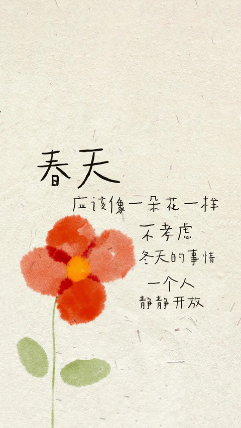 和万物一起明媚 screenshot