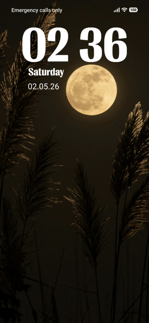 Moonlight screenshot