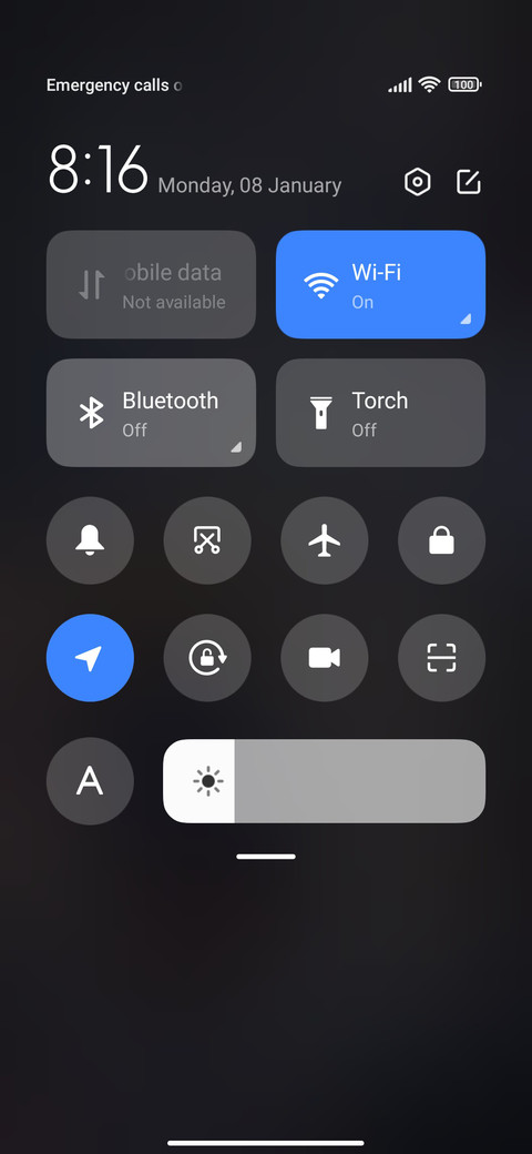 Home Cat Youth screenshot