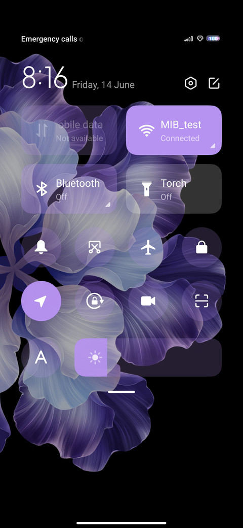Blossoms screenshot