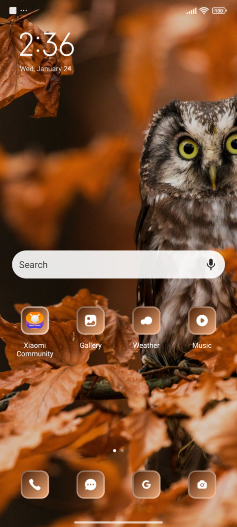 Grey Owl screenshot