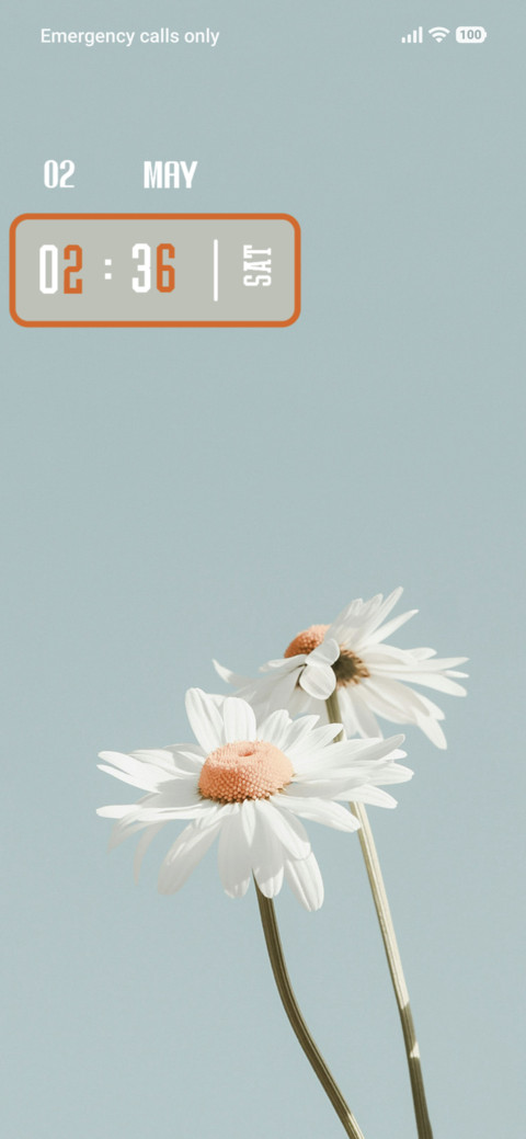 Flower Beauty screenshot