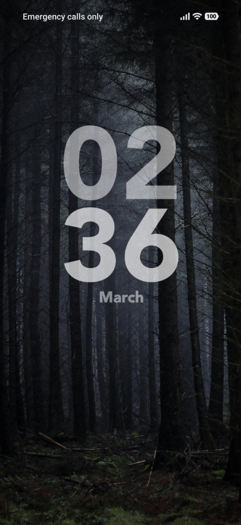 Misty Wood screenshot