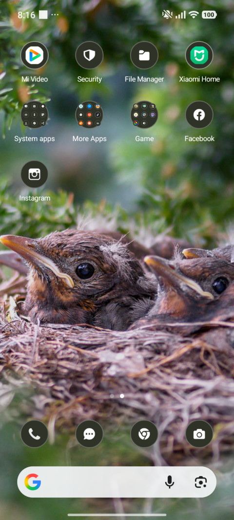 Forest Nest screenshot