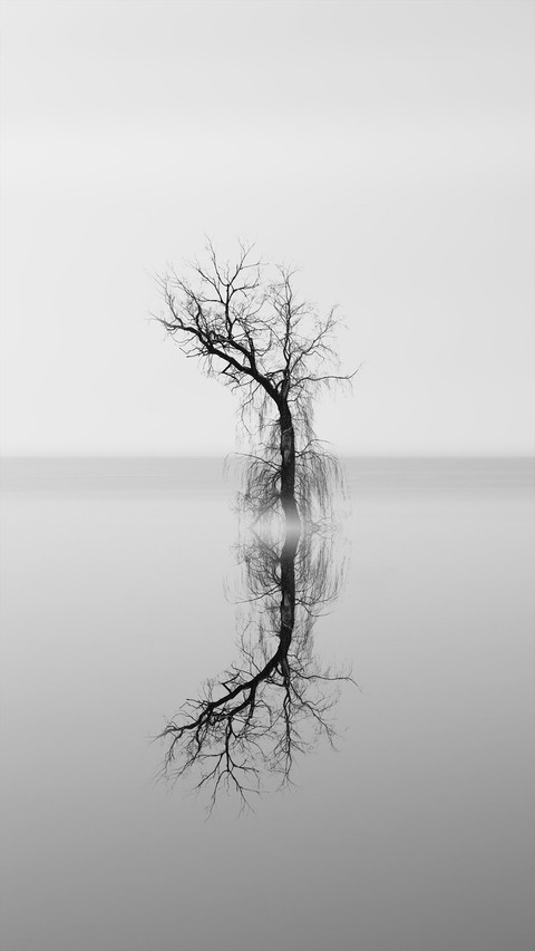 Black and White Photography Art screenshot