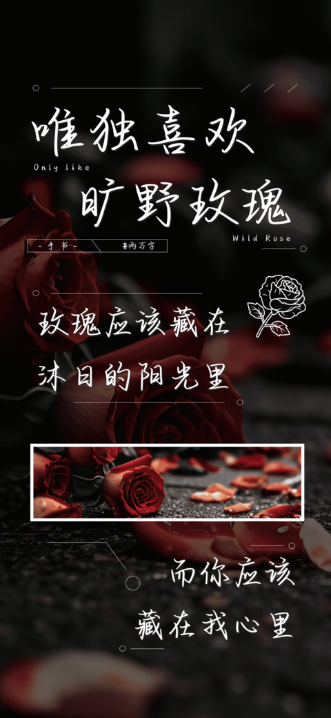 唯独喜欢旷野玫瑰 screenshot