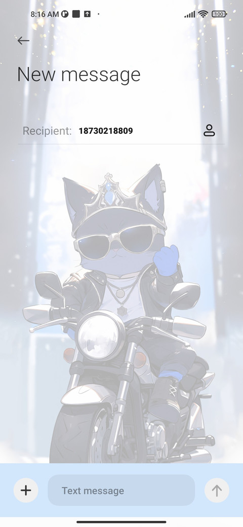 Cat Shines Stage screenshot