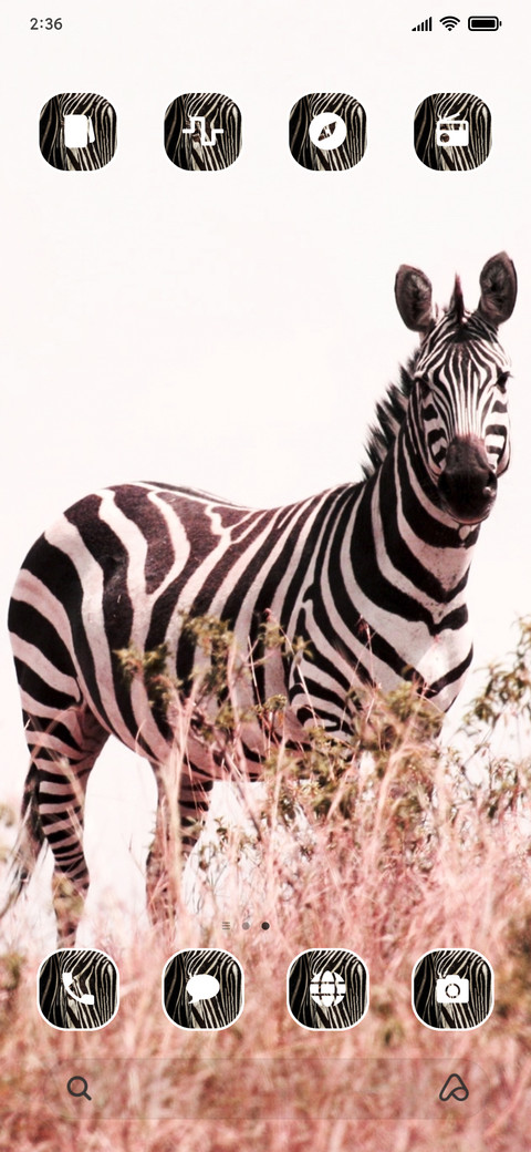 Zebra_3MDS screenshot