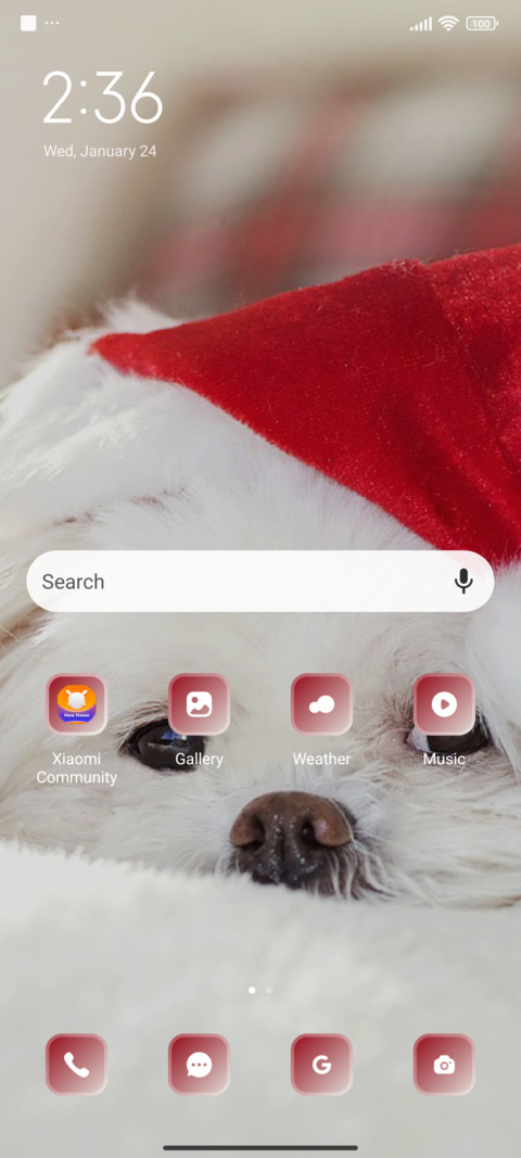 Puppy screenshot