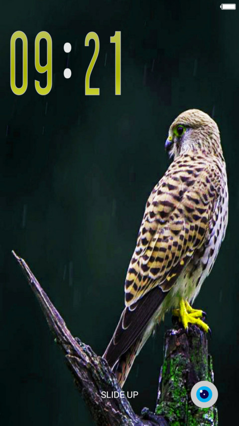  IN Nature Odyssey screenshot