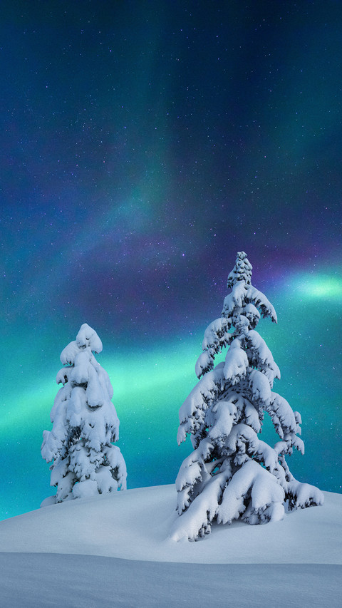 极光下的冰雪世界 screenshot
