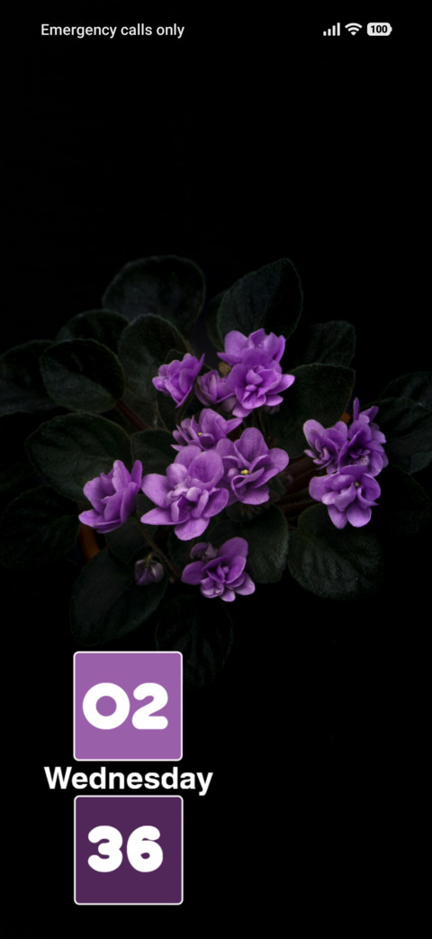 Flower Bloom screenshot