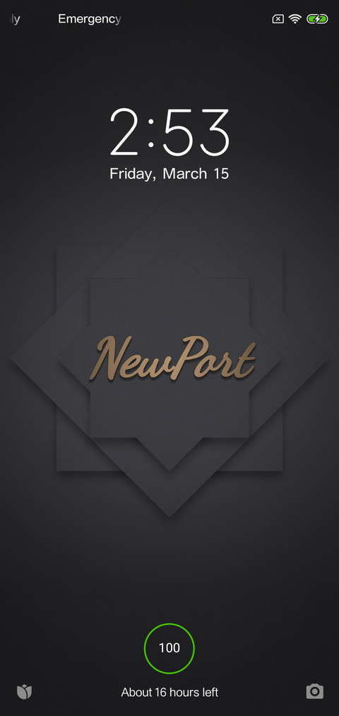 NP style v10 screenshot