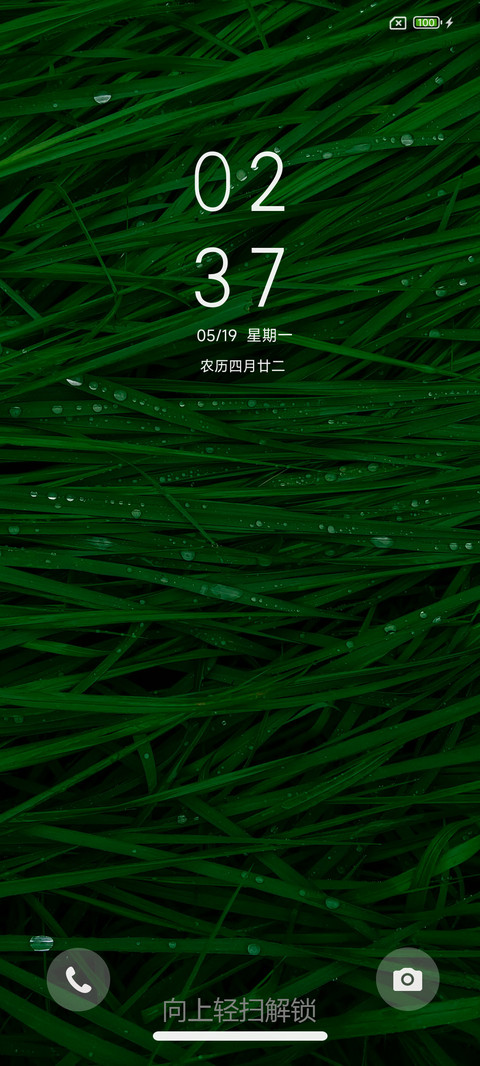 清新护眼绿 screenshot