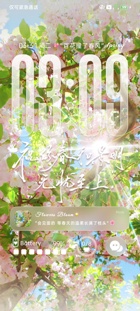 ins百花撞了春风 screenshot