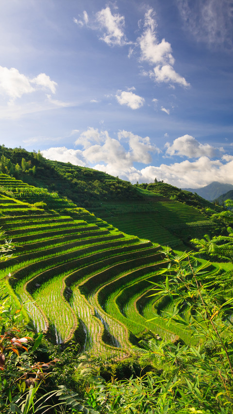 Terraces in Yunnan screenshot