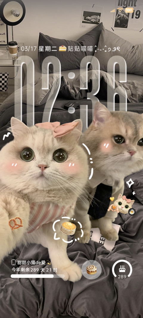 INS景深小猫贴贴 screenshot