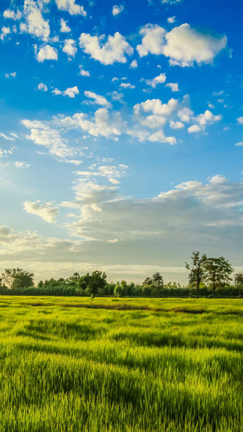 the blue sky at dusk in the fields screenshot