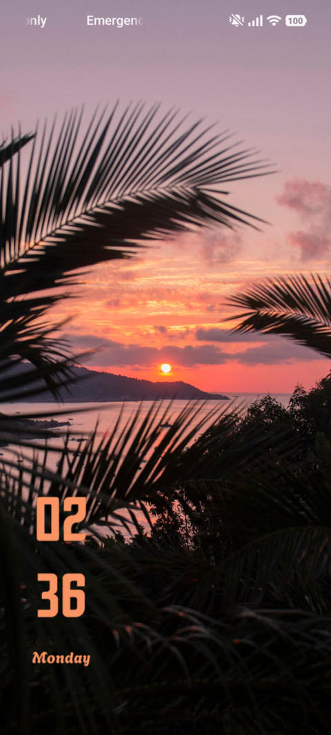 Palm Dusk screenshot