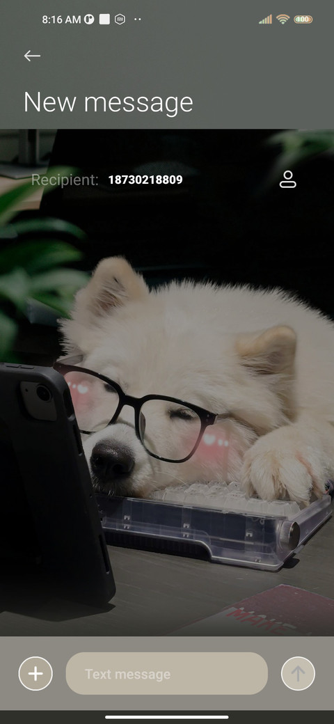 Ins is Money dog screenshot