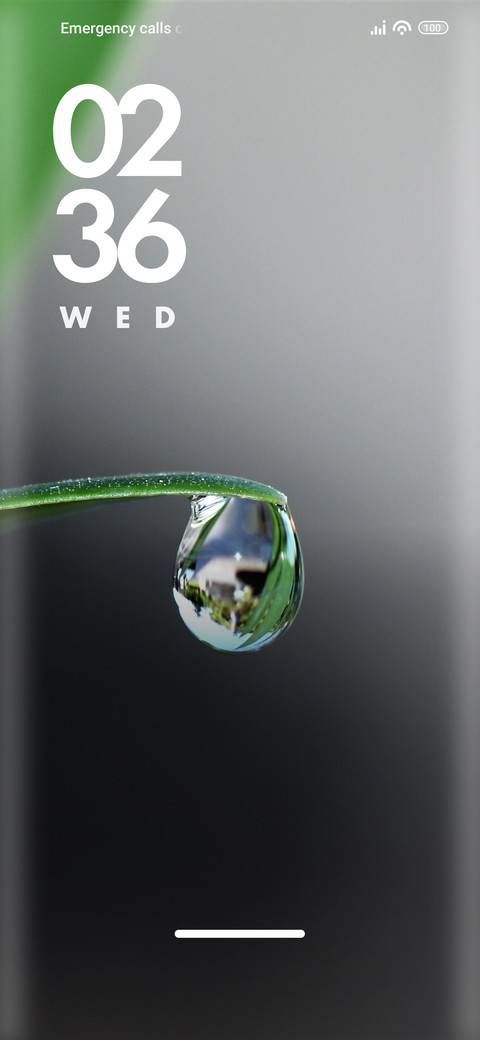 Plant screenshot