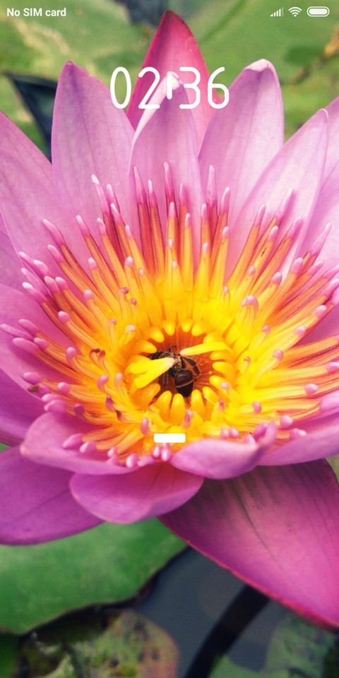 Lotus_DWM2 screenshot
