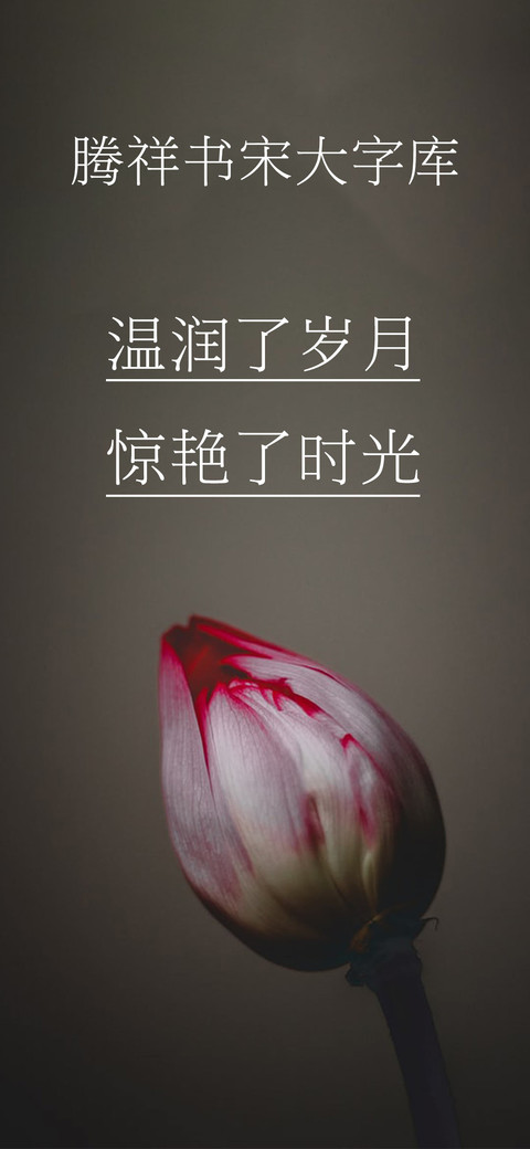 腾祥书宋大字库 screenshot