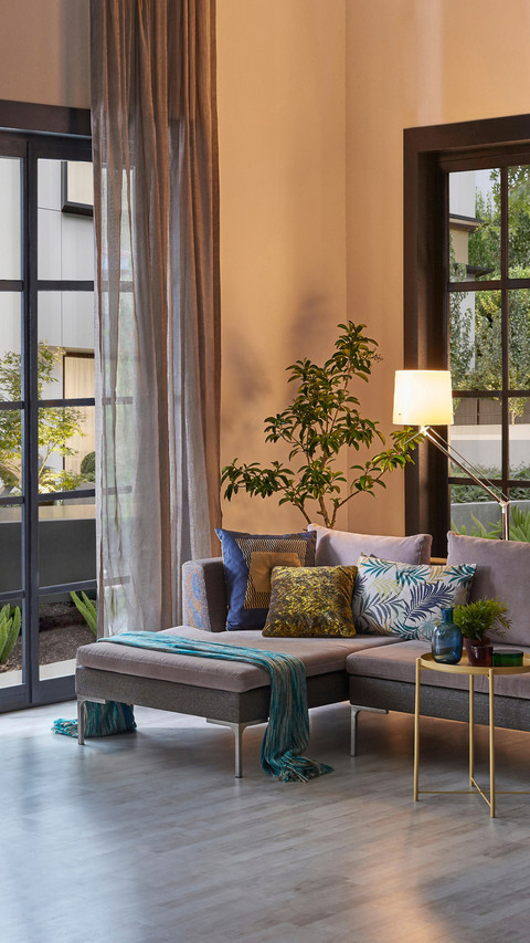 Room Interior Sofa and Metal Lamp, Vase of Plant and Garden screenshot