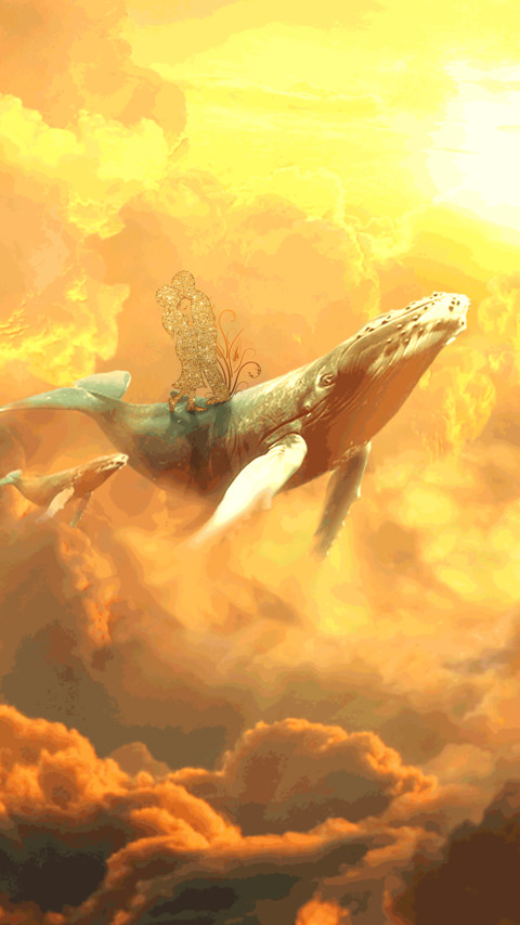 3D animals screenshot
