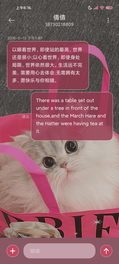 仙女小猫 多壁纸 screenshot