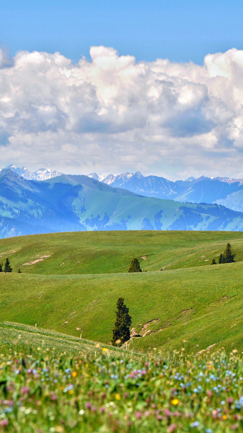 The snowcapped mountains of tianshan reflect the clouds screenshot