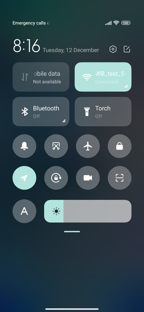 fox snow screenshot