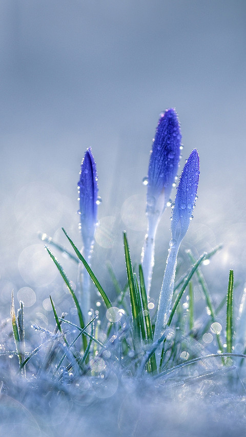 Cold dew turns white and doesnt feel cool 71 screenshot