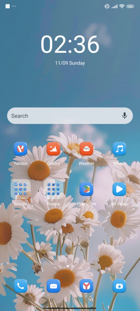 Flower screenshot