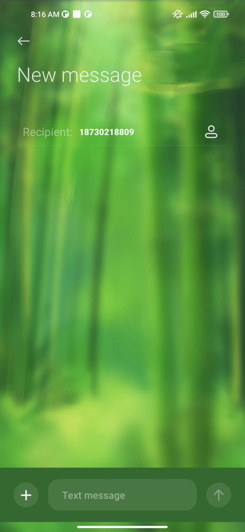 Zen+green+bamboo screenshot