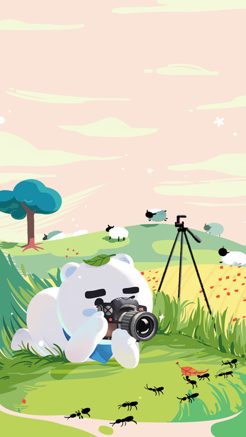 夏天就该去郊游 screenshot