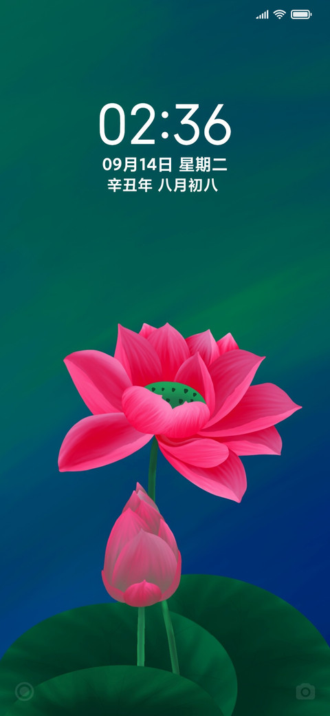 净美花开 screenshot