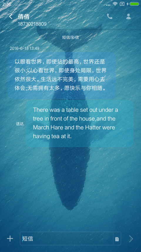 孤单的鲸 screenshot